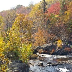 Meet your Posher, Marianne